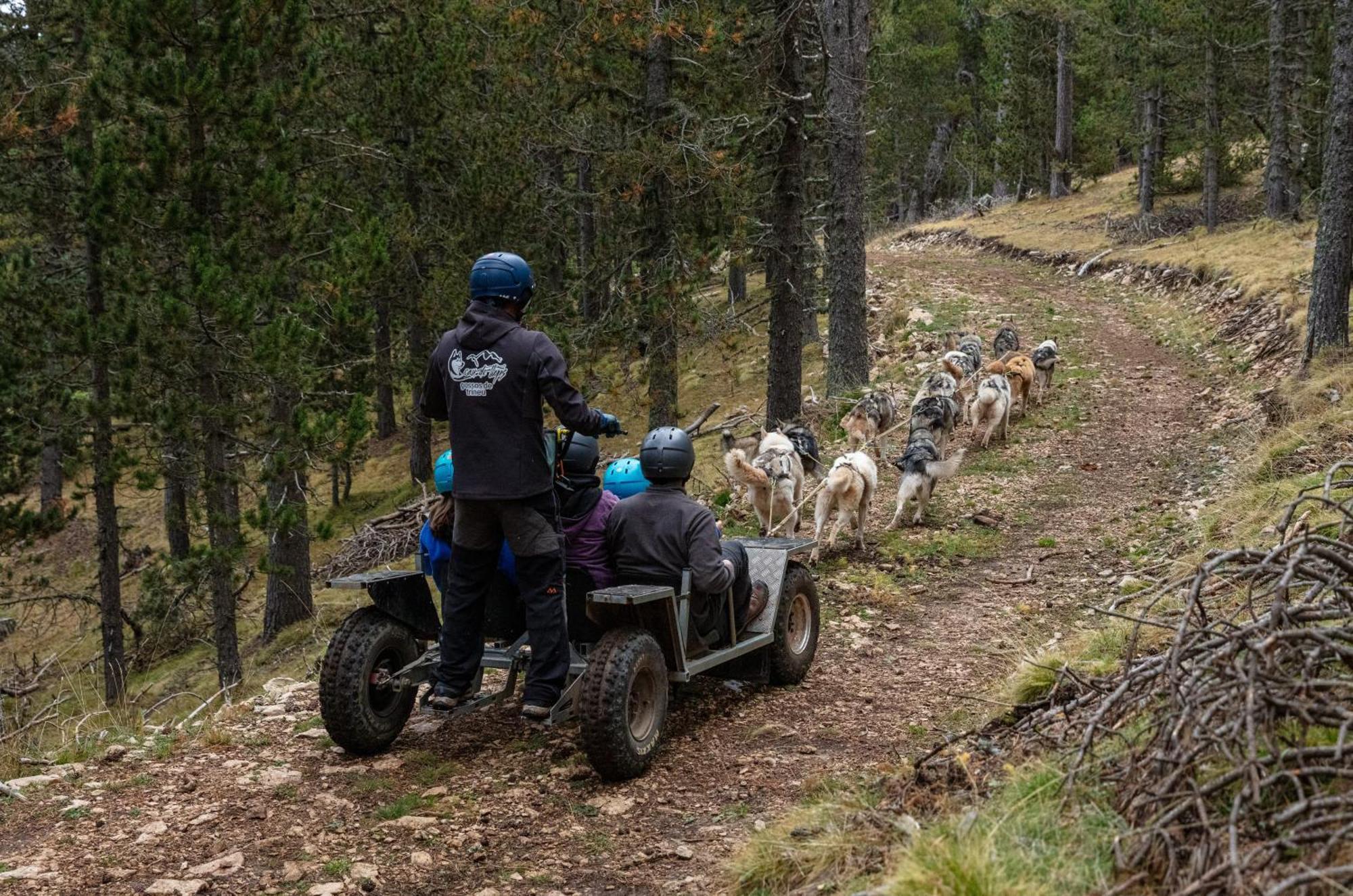 Hostel Refugi De L'Arp Montargull de la Vansa Exteriér fotografie